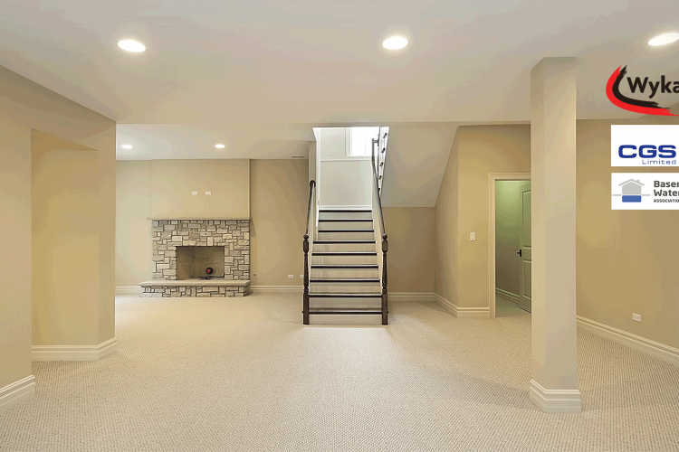 Basement conversion and lightwells